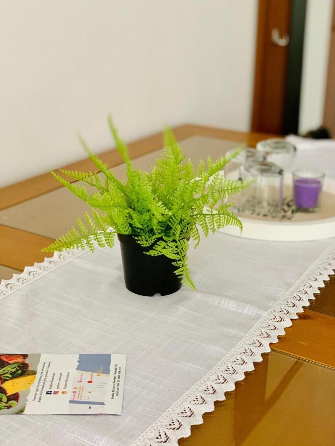 Năvodari Hella Apartament Mamaia-Nord מראה חיצוני תמונה